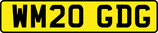 WM20GDG