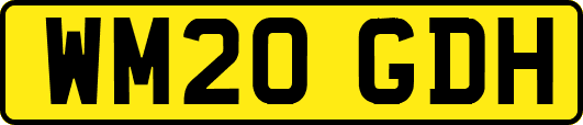 WM20GDH