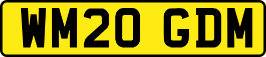 WM20GDM