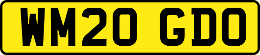 WM20GDO