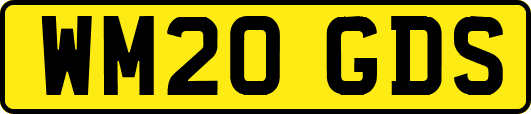 WM20GDS