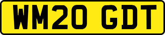 WM20GDT