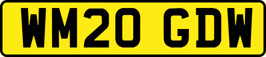 WM20GDW