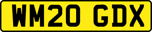WM20GDX