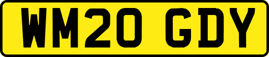WM20GDY