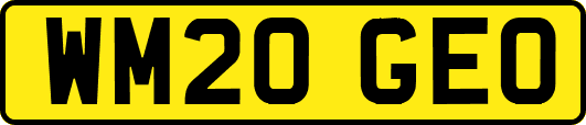 WM20GEO