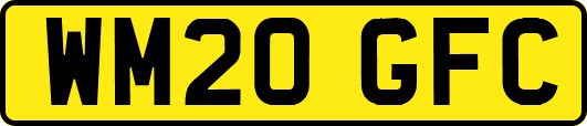 WM20GFC