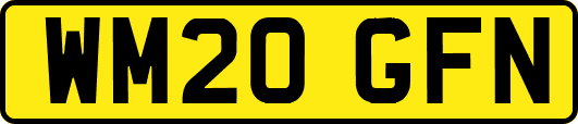WM20GFN