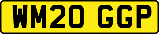 WM20GGP
