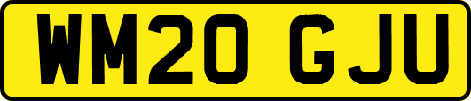 WM20GJU