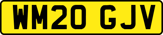 WM20GJV