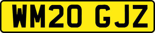 WM20GJZ