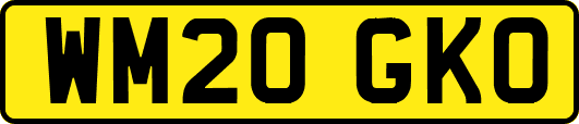 WM20GKO