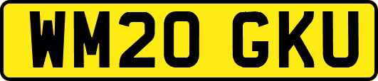 WM20GKU