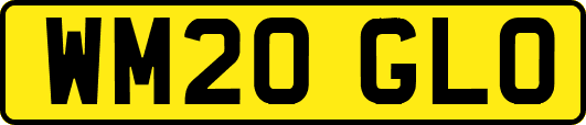 WM20GLO