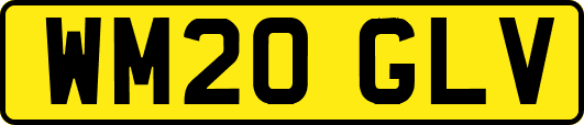 WM20GLV