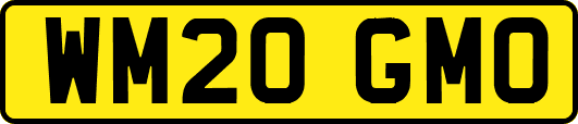 WM20GMO
