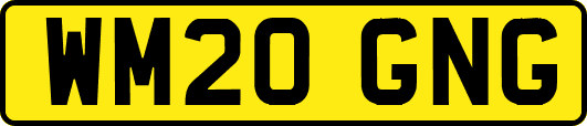 WM20GNG