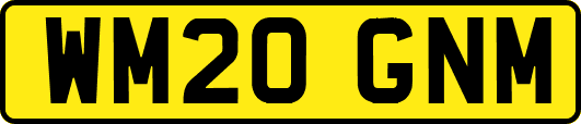 WM20GNM