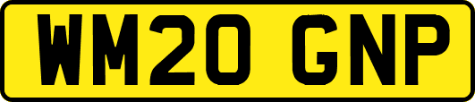 WM20GNP