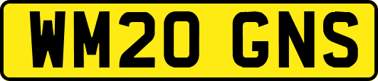 WM20GNS