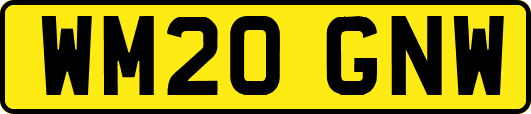 WM20GNW