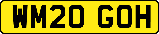 WM20GOH