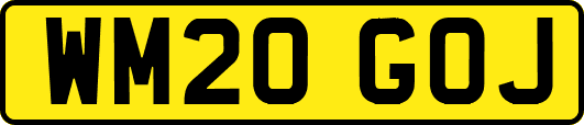 WM20GOJ