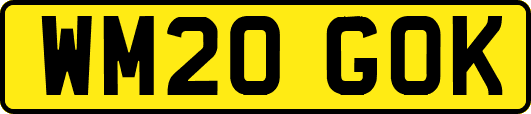 WM20GOK