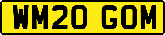 WM20GOM