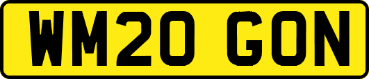 WM20GON