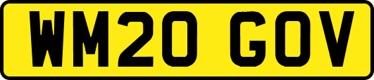 WM20GOV