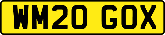 WM20GOX
