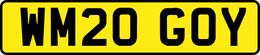 WM20GOY