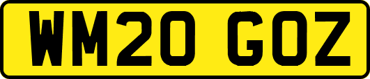 WM20GOZ