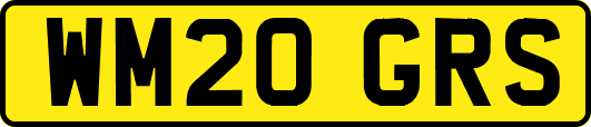 WM20GRS