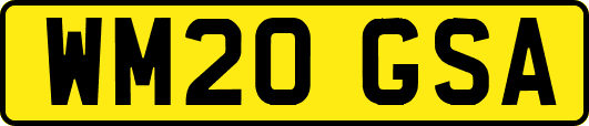 WM20GSA