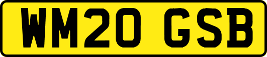 WM20GSB