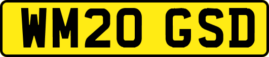 WM20GSD