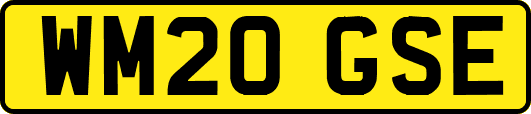 WM20GSE