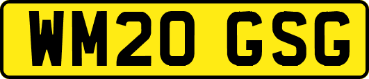 WM20GSG