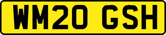 WM20GSH