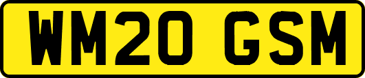 WM20GSM