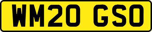 WM20GSO