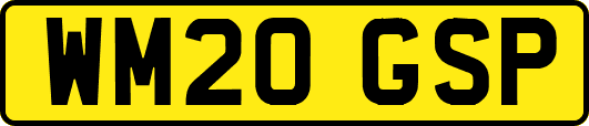 WM20GSP
