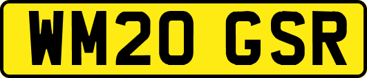 WM20GSR