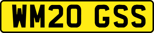 WM20GSS