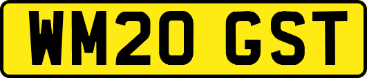 WM20GST