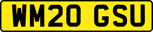 WM20GSU