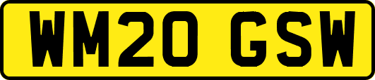 WM20GSW